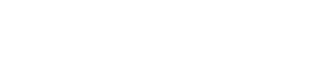 logo Vip-perevod